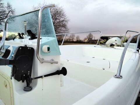 Bateaux &agrave; moteur P&ecirc;che-promenade 2011 occasion La Chapelle-Saint-Laurent 79430