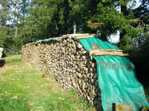 bois de chauffage 60 Roussines (16)