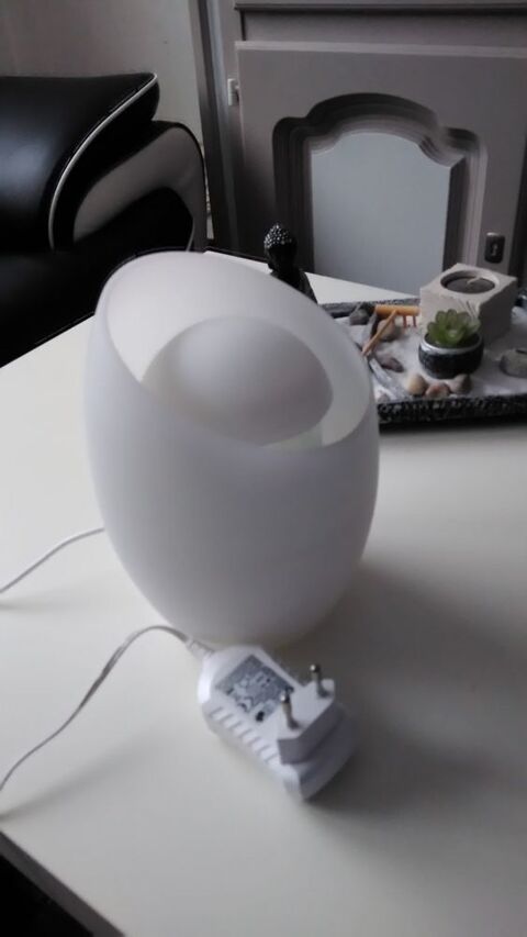 diffuseur d'huiles essentielles 10 Faches-Thumesnil (59)