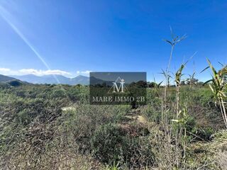  Terrain � vendre 1055 m� Calvi