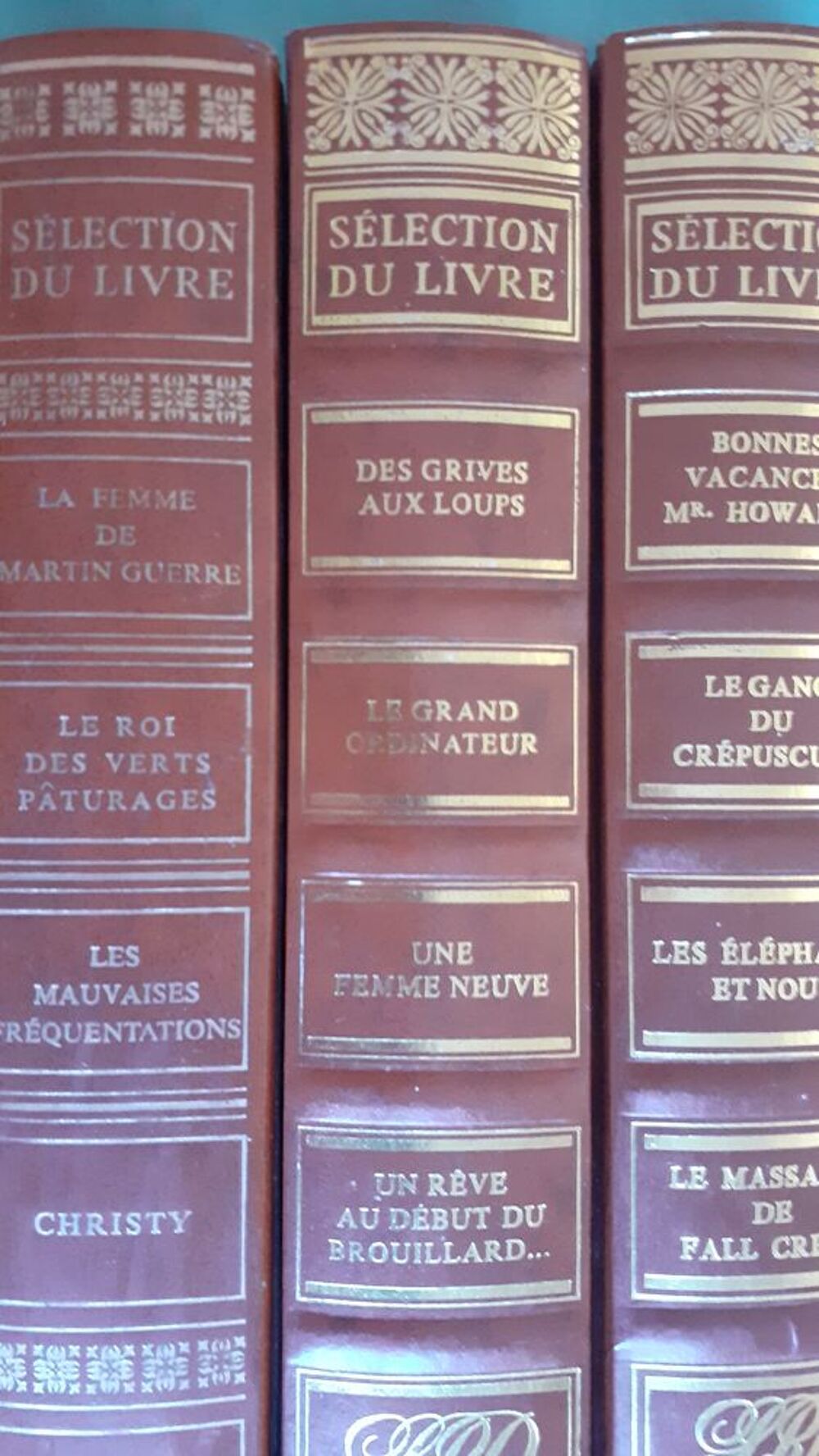 Lot de 10 livres reli&eacute;s Livres et BD