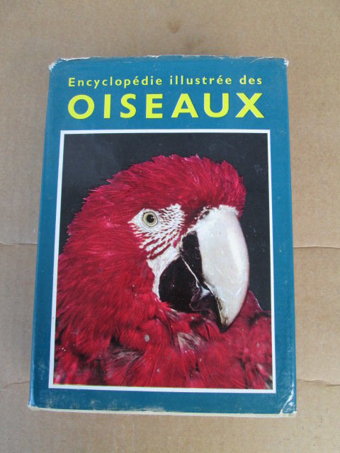 Les oiseaux 10 Castres (81)