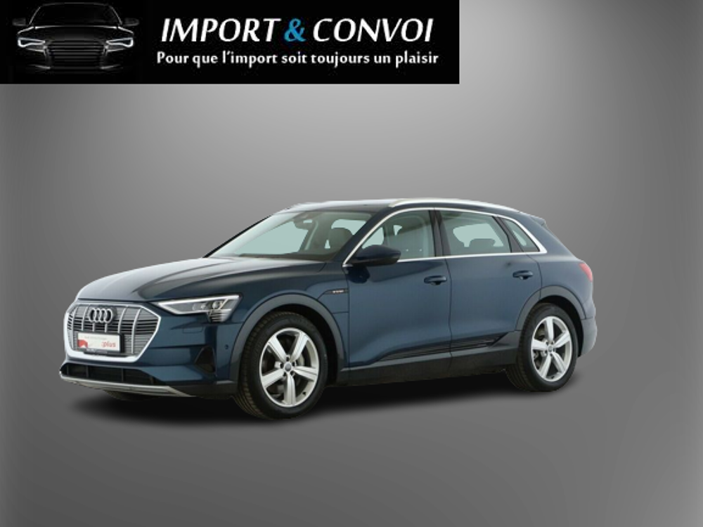 E-TRON e-tron 50 quattro 313 ch 2020 occasion 67100 Strasbourg
