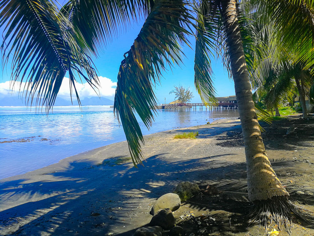 Location Appartement T3 TAHITI AVEC PETIT JARDIN PRIVE &SPA A 100 M DU LAGON PUNA Polynésie française