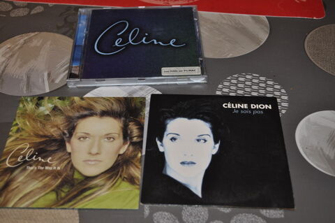 Album CD de Cline Dion  A New Day Has Come  5 Perreuil (71)