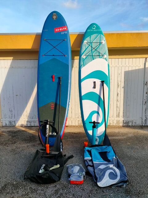 Lot de 2 paddles d'occasion avec chargeur 250 Le Pradet (83)