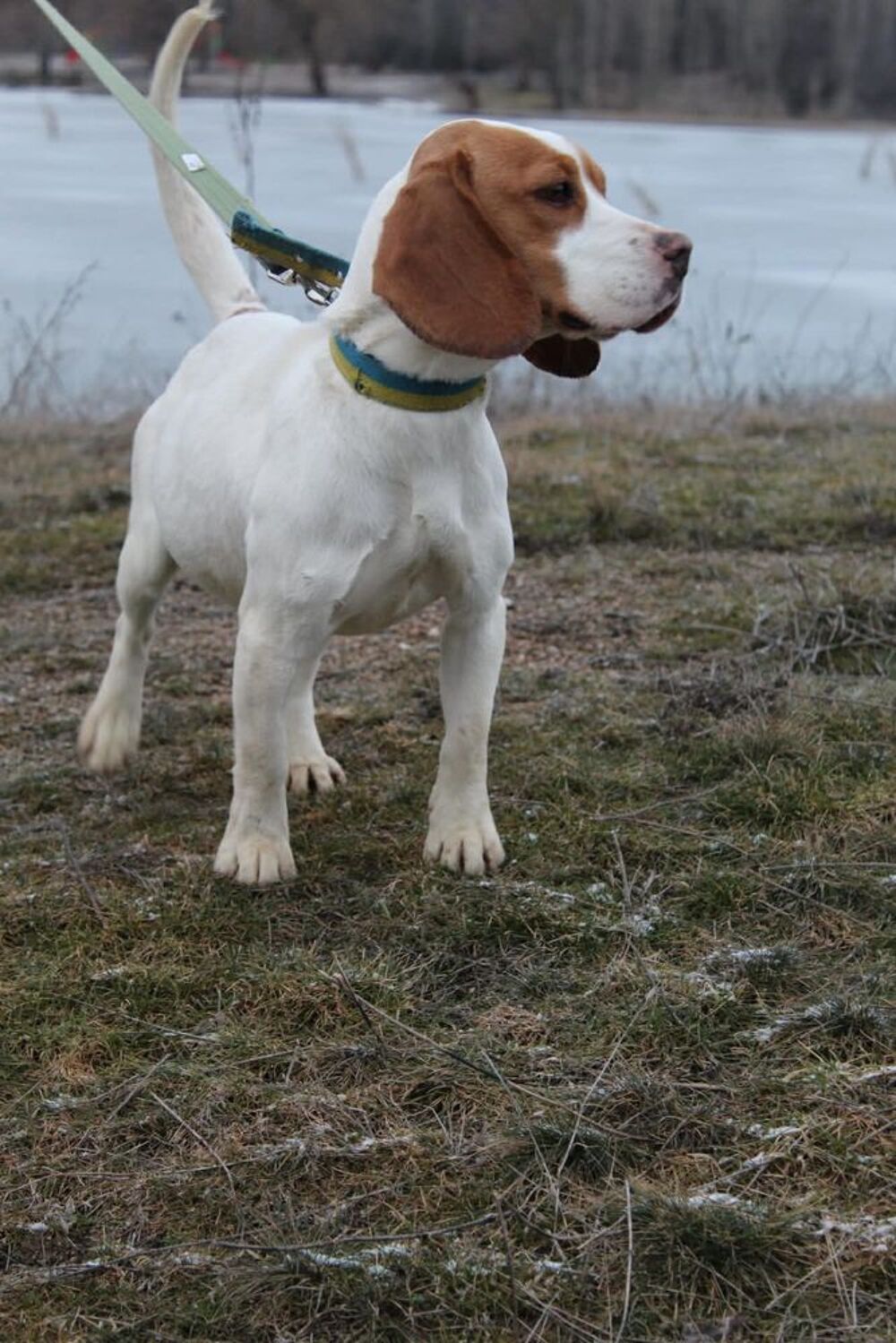   SANAH SE TROUVE DANS UN REFUGE EN UKRAINE 