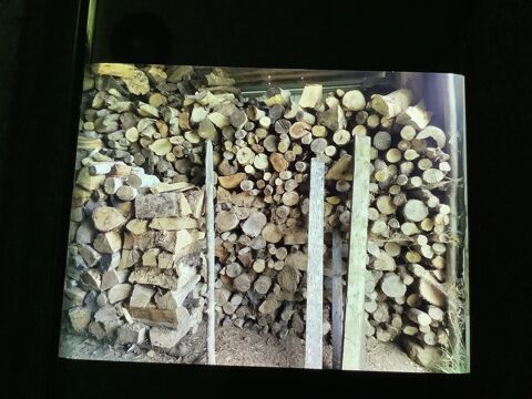 Bois 70 Salmiech (12)