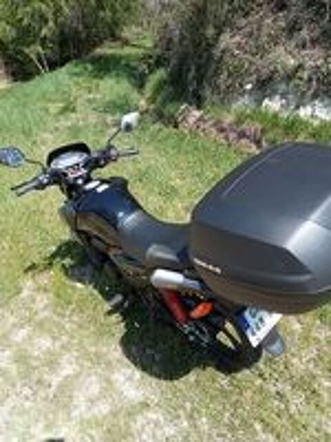 HONDA 2023 occasion 82200 Moissac