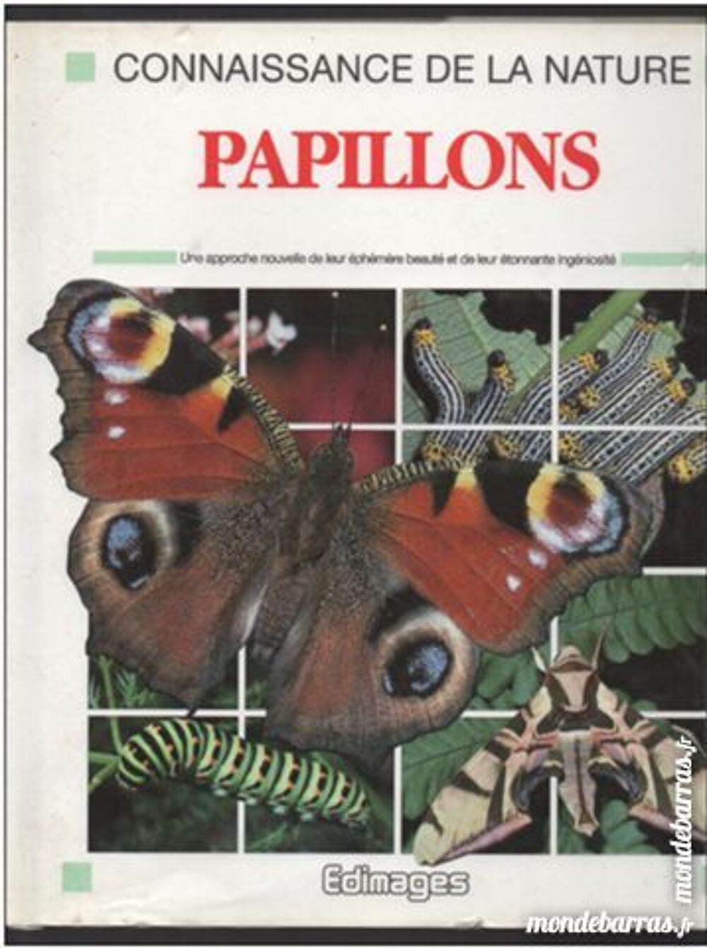Connaissance de la nature PAPILLONS Livres et BD