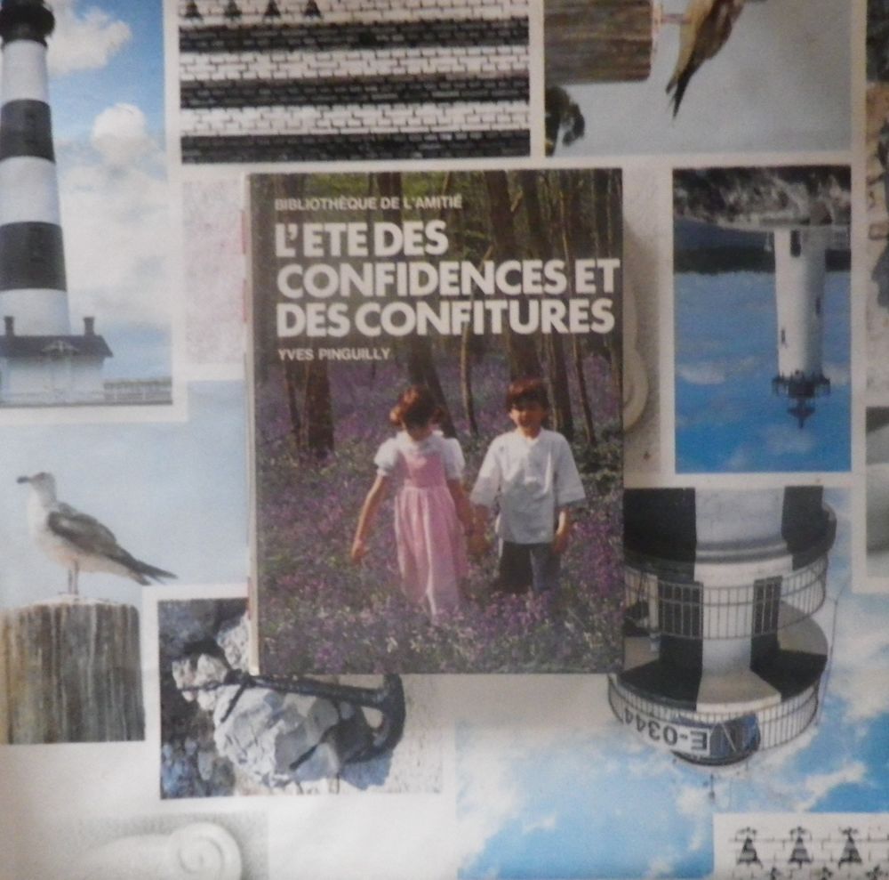 L'ETE DES CONFIDENCES ET DES CONFITURES de Y. PINGUILLY Bibl Livres et BD