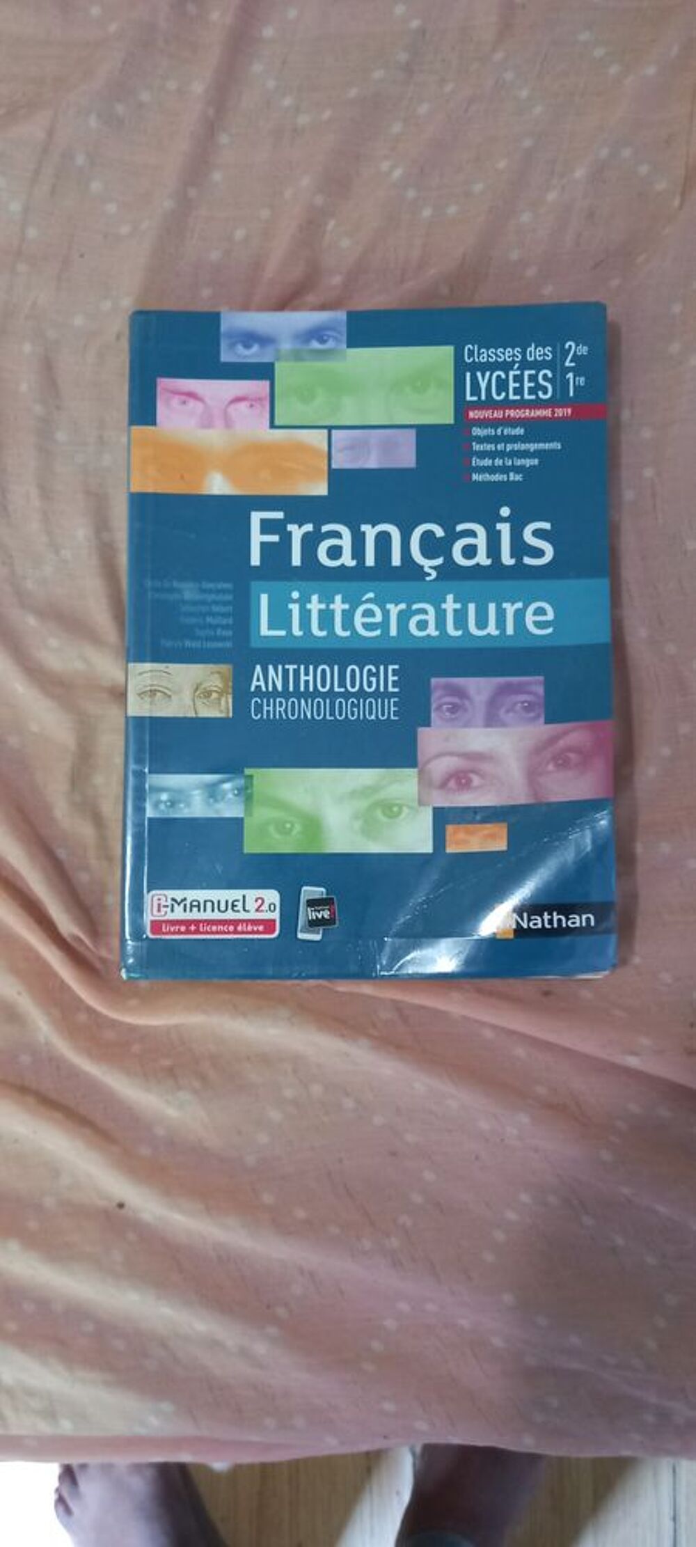 Livres scolaire 1ere S.T.M.G Livres et BD
