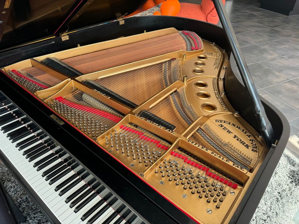 Piano Steinway &amp; Sons (Mod&egrave;le M) Instruments de musique