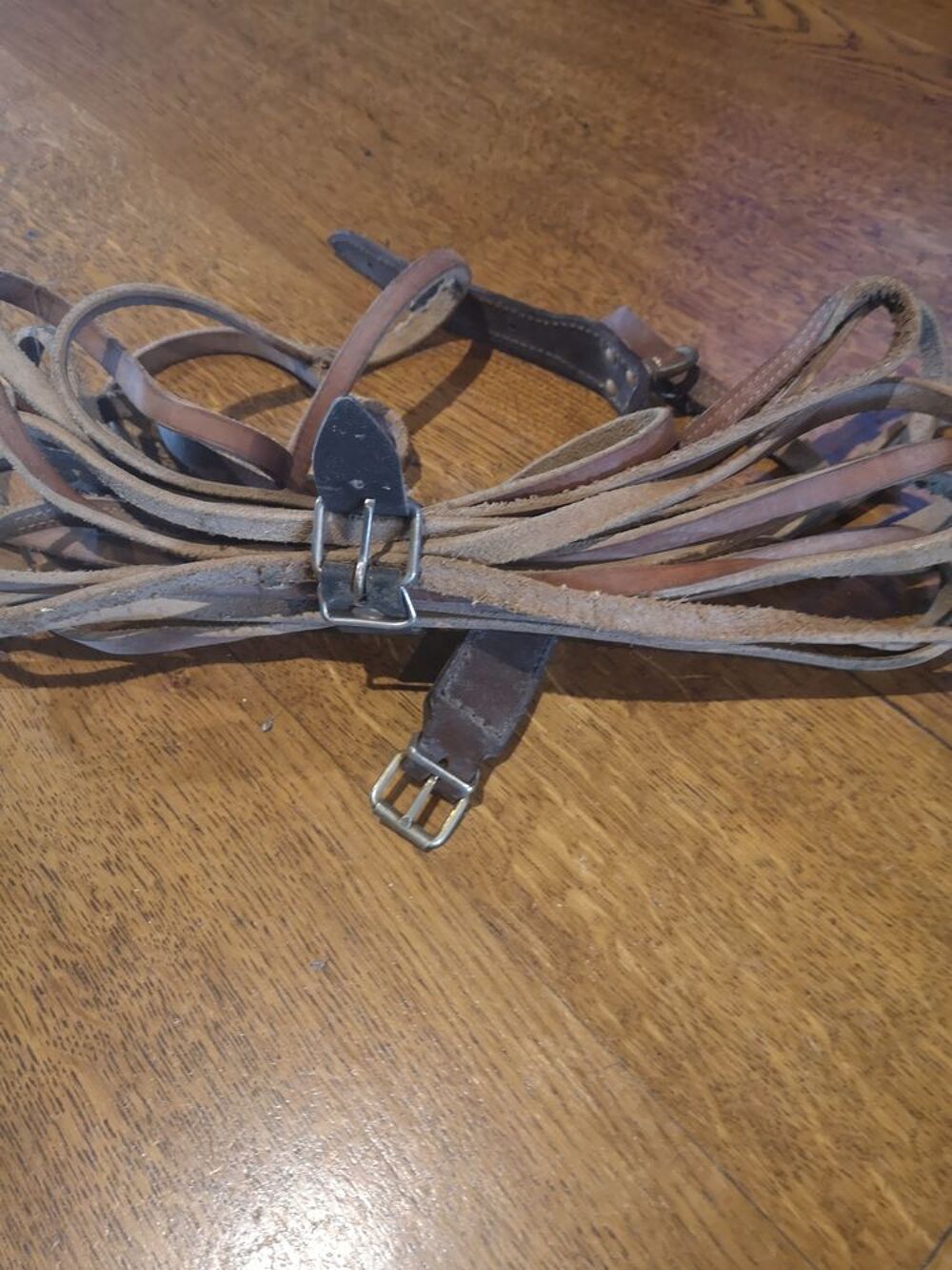 Longe 10 m et collier cuir chien de sang.
Sports
