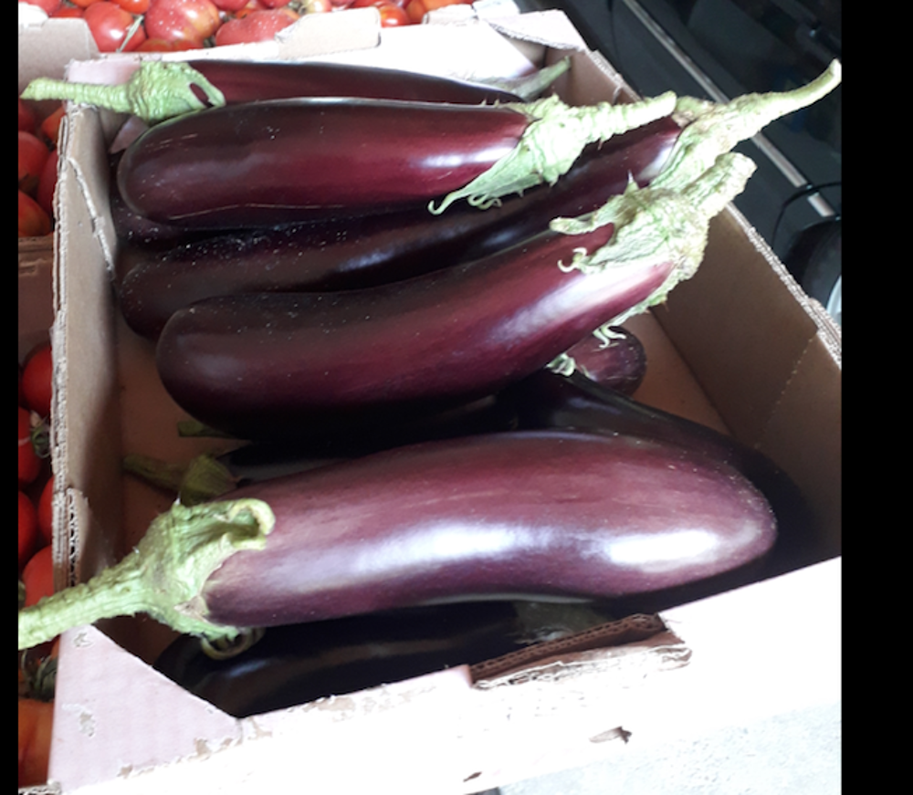  tomates cerise multicolores Jardin