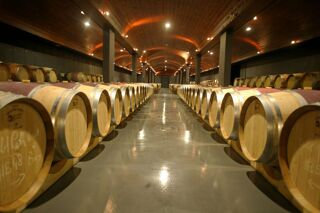  Propri�t�/ch�teau � vendre 15 + pi�ces 400 m�