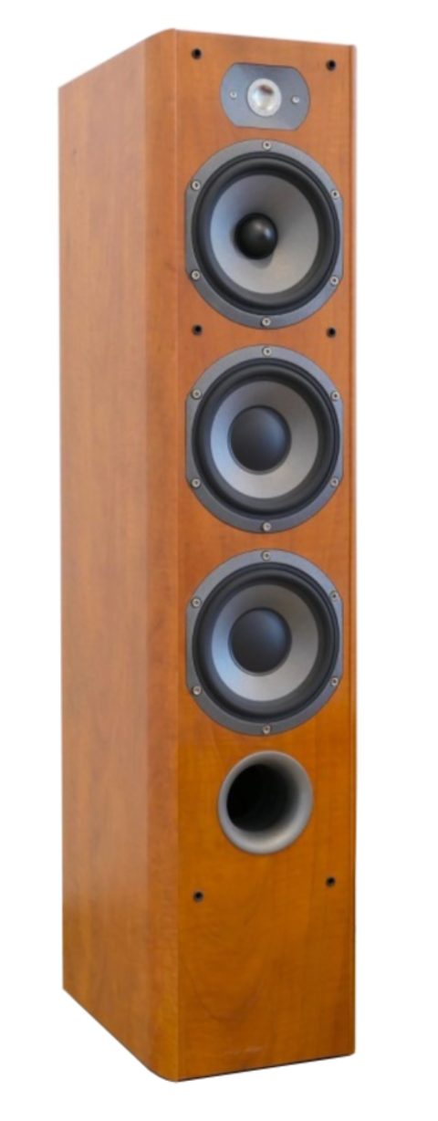 Enceintes focal chorus 726S 280 Fontenilles (31)