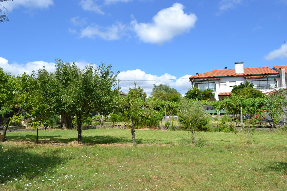 Vente Maison Portugal centre: T5 + T1 s/ propriété 4 500 m² Chão de couce, portugal (Portugal)