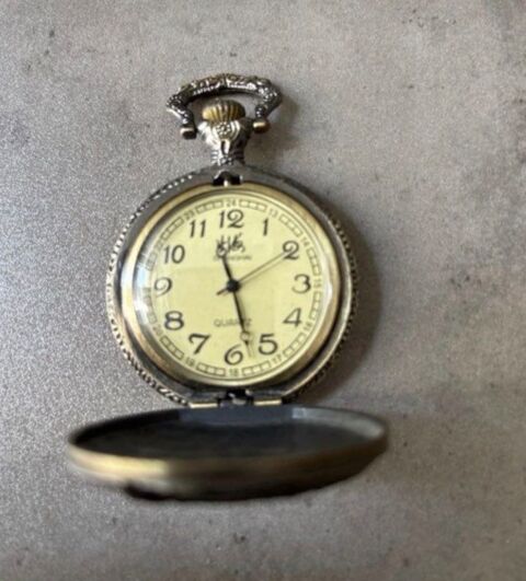 Montre gousset Nice (06)