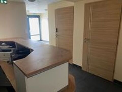   Local professionnel - 490m ² 
