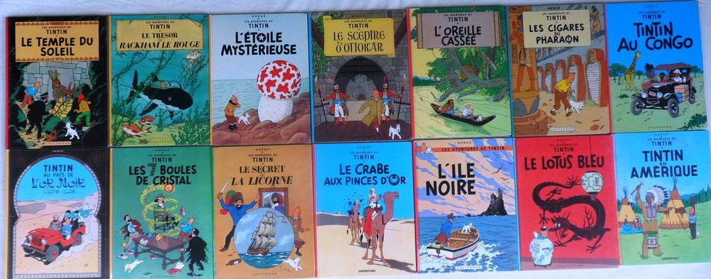 Lot des 22 albums de BD de Tintin en bon &eacute;tat Livres et BD
