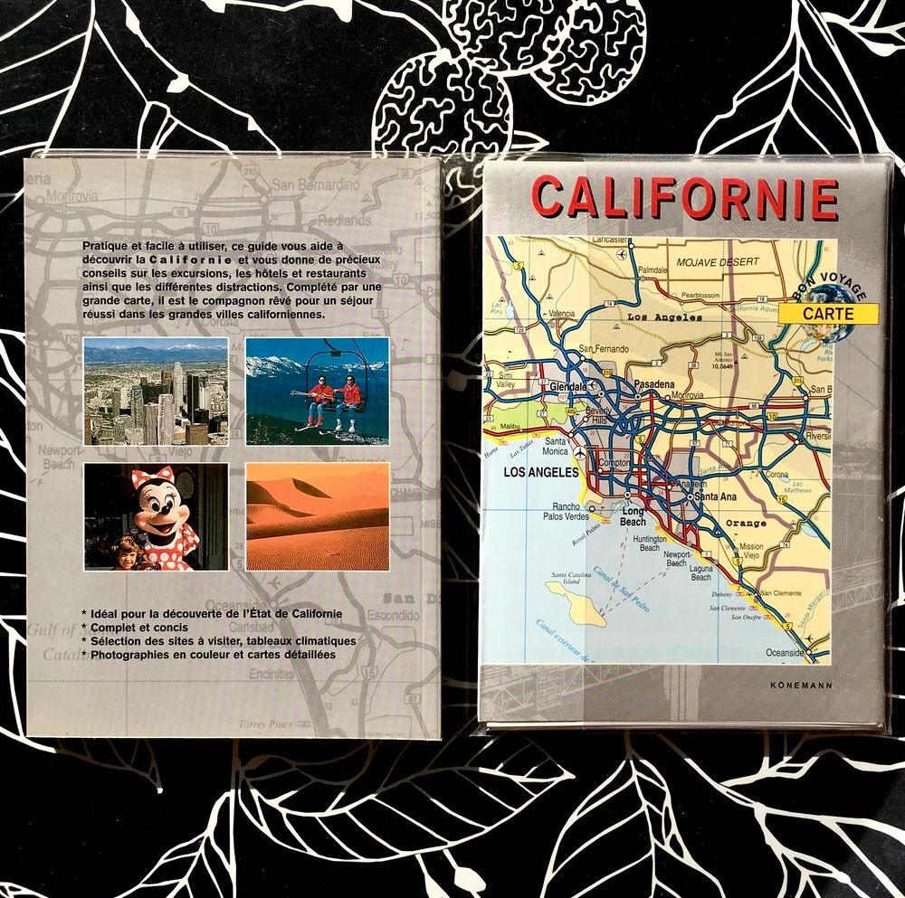 Guide "&nbsp;Bon Voyage&nbsp;" : CALIFORNIE ,130 pages + grande Carte Livres et BD