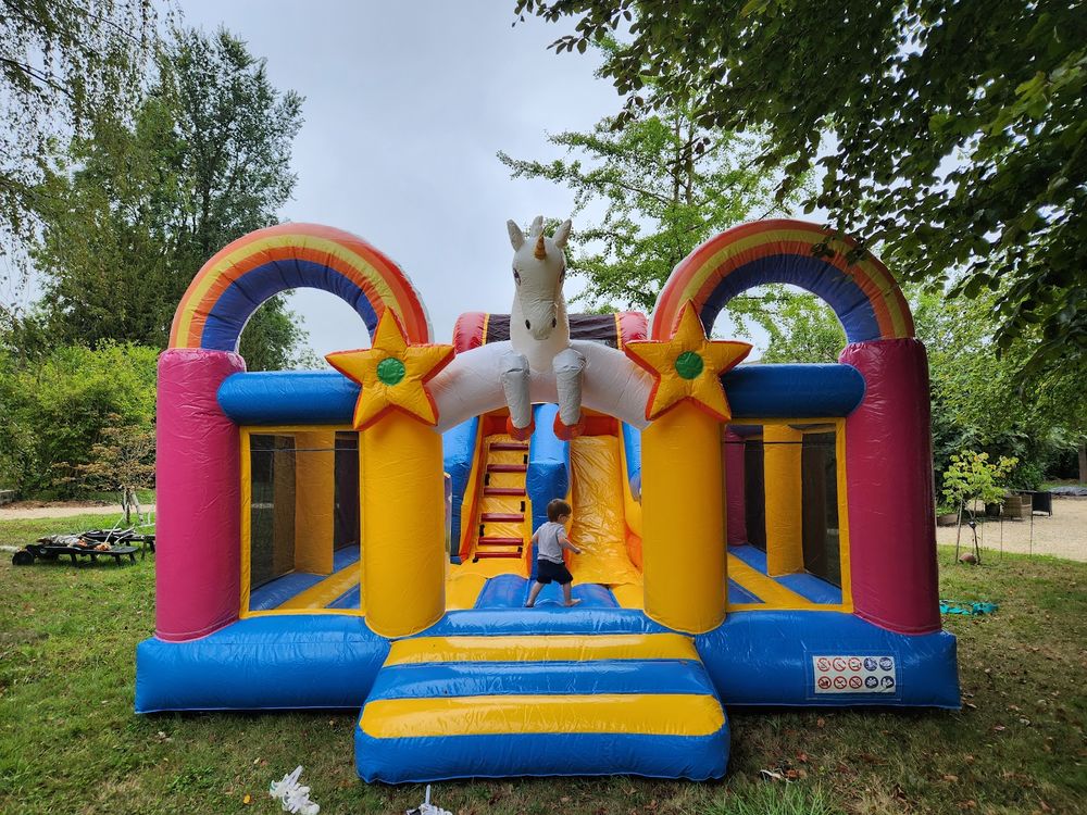 Ch&acirc;teau gonflable licorne professionnel avec toboggan - JB I Jeux / jouets