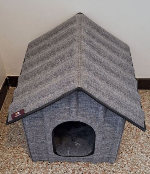 Maison chat 30 04100 Manosque