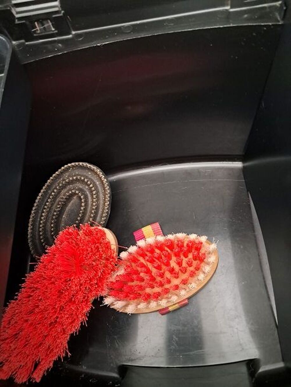 Lot accessoire CHEVAL caisse brosse animaux activit&eacute;s loisir Sports