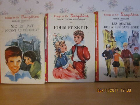 livres enfants rouge et or 0 Soucelles (49)