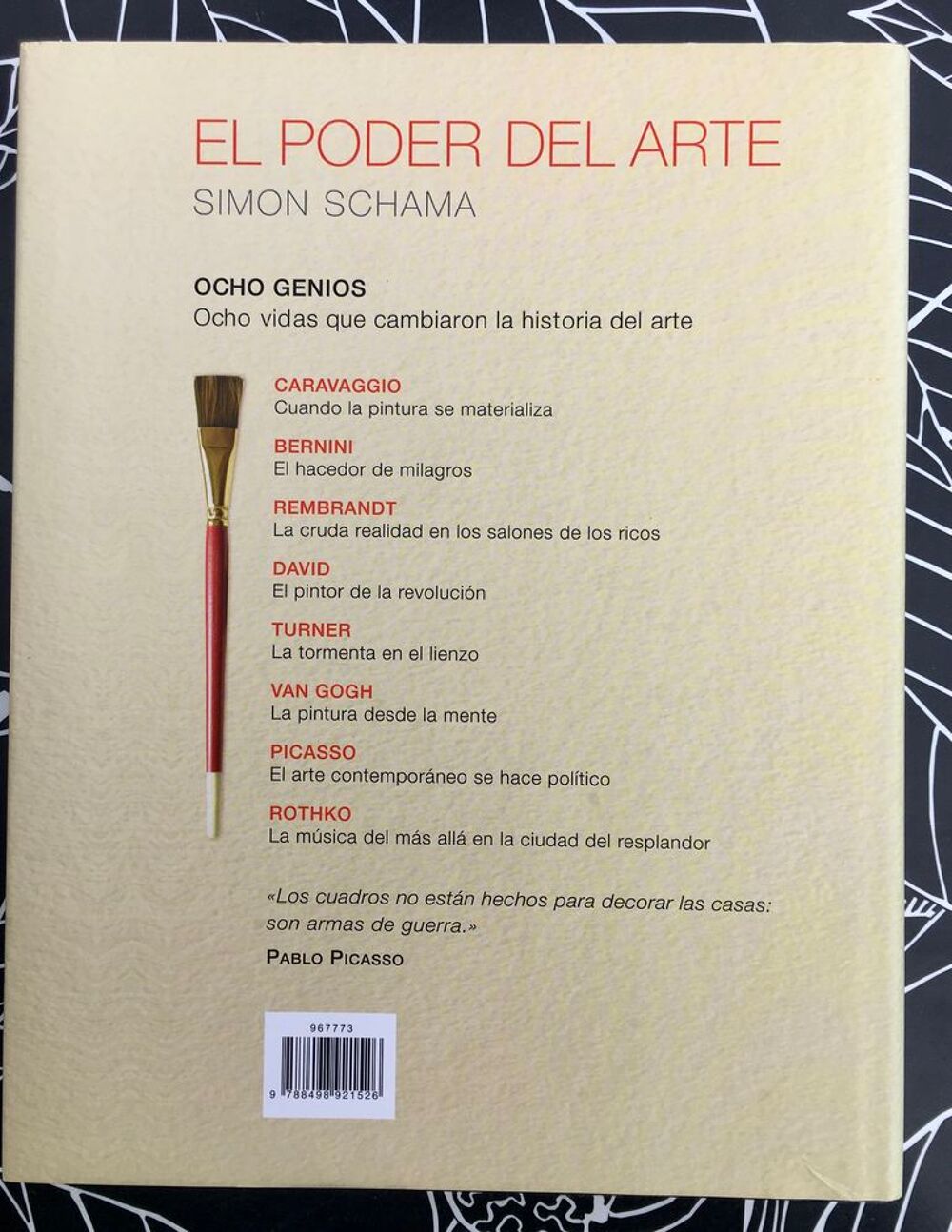 Le pouvoir de l'Art de S.Schama ; Beau grand livre d'art Livres et BD