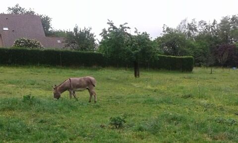 PLACE AU PRE 0 38570 Tencin