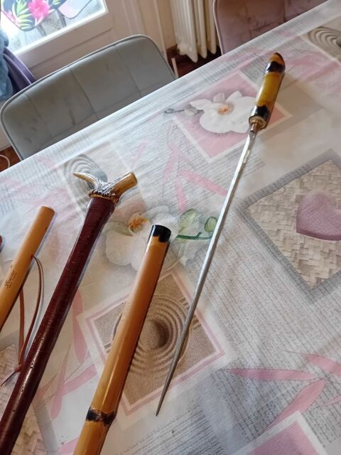 btons de marche 10 Montpon-Mnestrol (24)