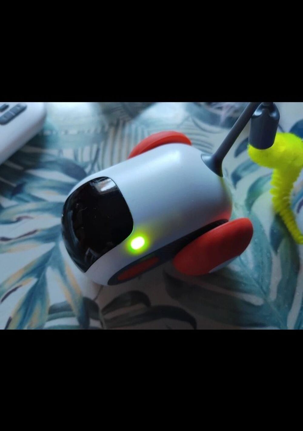 Jouet pour chat d'int&eacute;rieur Jeux / jouets