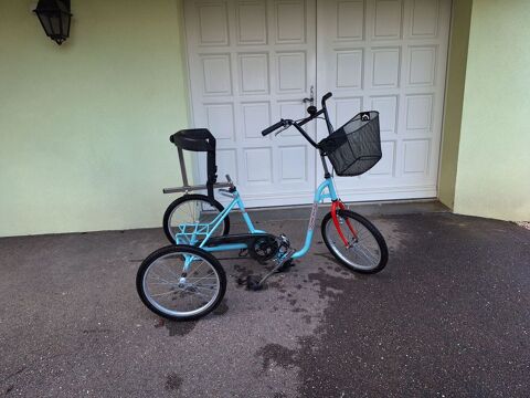 Velo 3 roues Pusey (70)