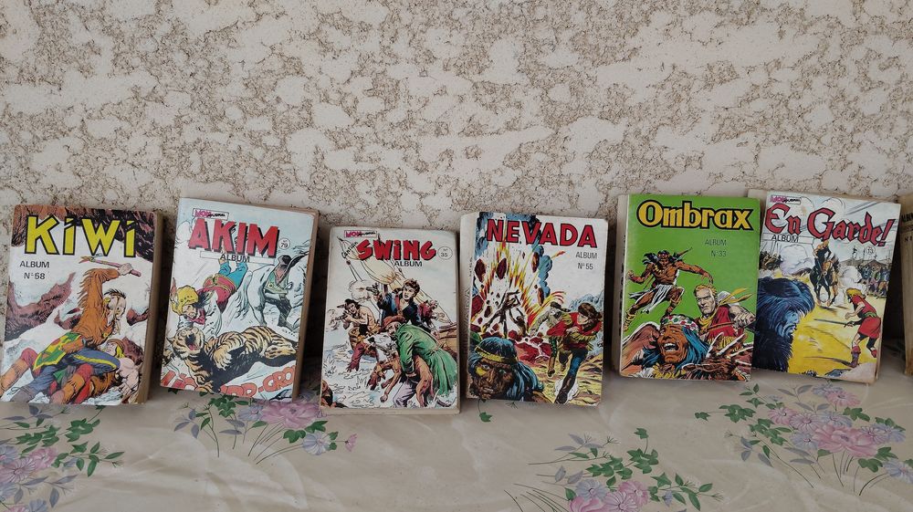 Divers 46 Albums Bandes Dessin&eacute;es Livres et BD
