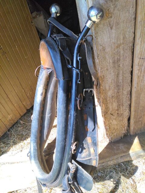 Collier d'attelage en cuir pour cheval contois 450 12260 Villeneuve