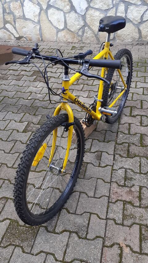 VTT homme  50 Roanne (42)