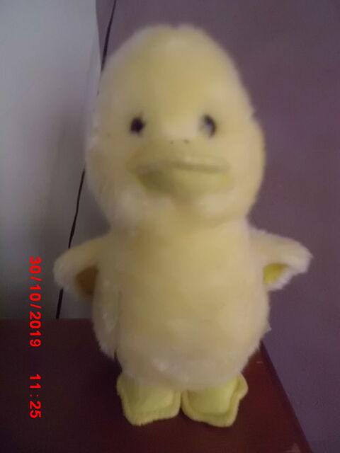 CANARD SONORE PEEKO 13 Oignies (62)
