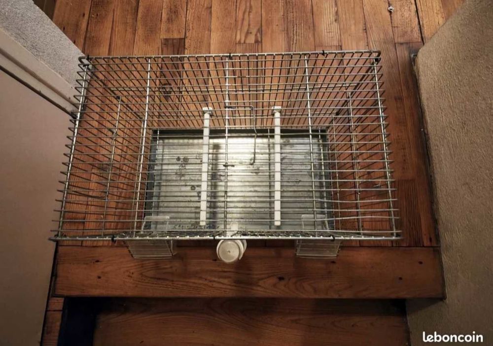 Cage D'Elevage Jardin