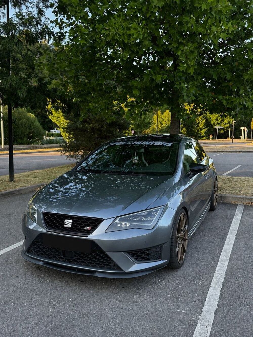 Leon 2.0 TSI 280 Cupra DSG6 2015 occasion 88100 Saint-Di&eacute;-des-Vosges