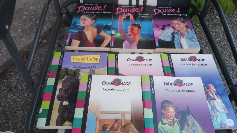 Livres jeunesse et ados/ plus de 80 livres Livres et BD