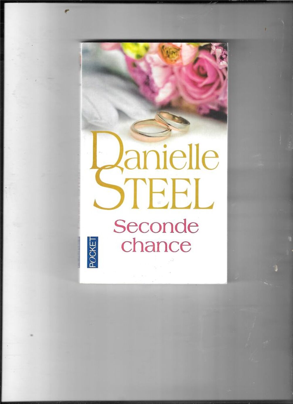 LOT DE 3 LIVRES POCKET D.STEEL Livres et BD