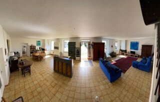  Propriété/château à vendre 