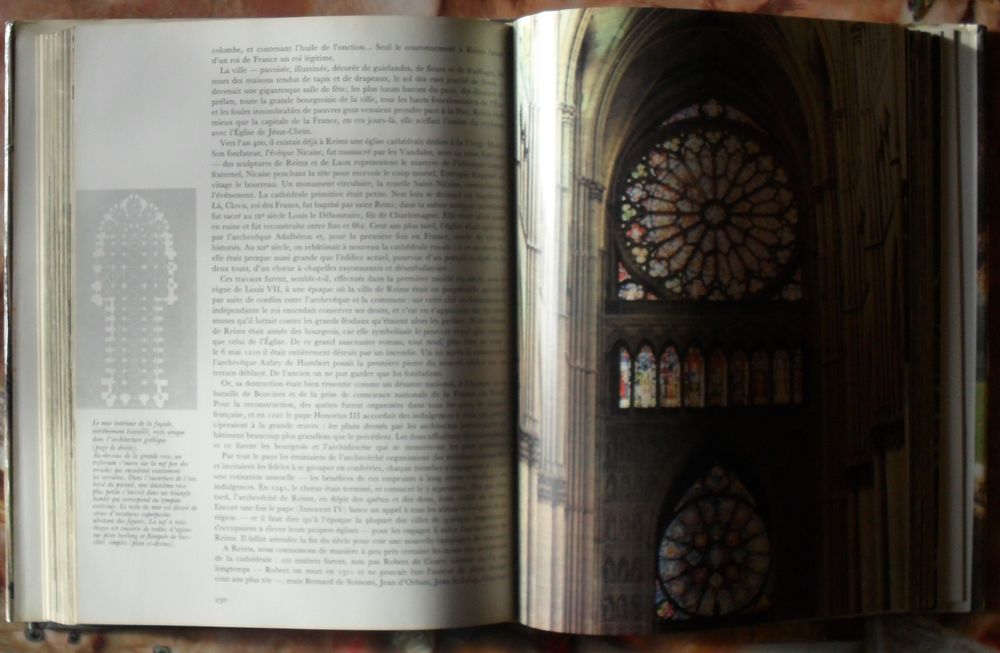 Cath&eacute;drales de France: l'Epop&eacute;e des Cath&eacute;drales. Livres et BD