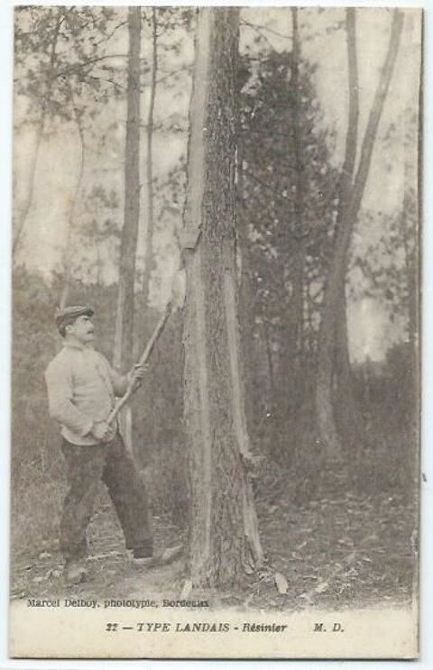 Type landais resinier 4 Castel-Sarrazin (40)