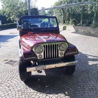 Divers CJ5 1980 occasion 10024 Moncalieri, TO, Italia