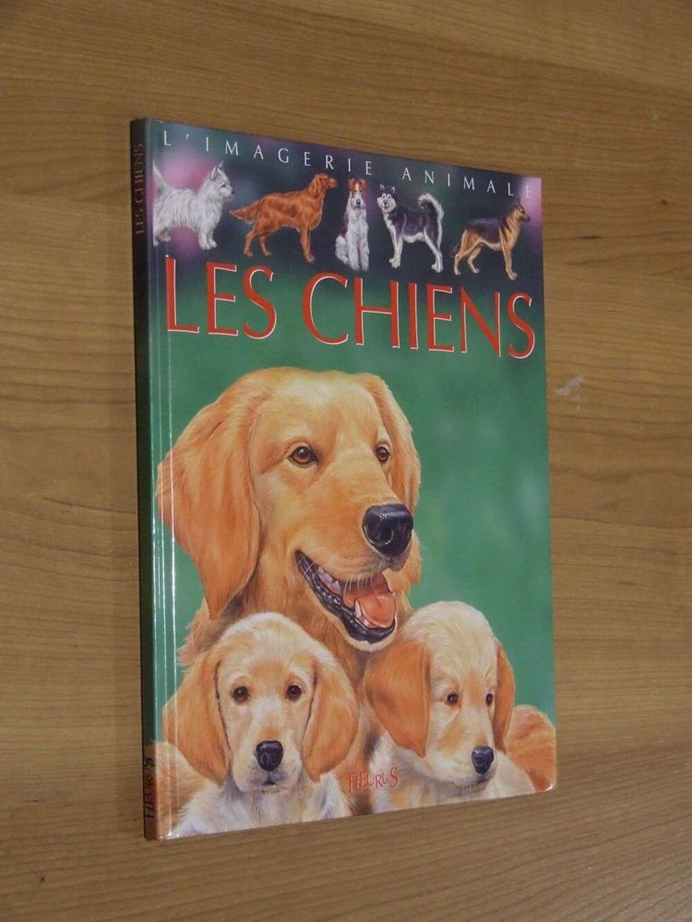 Livre, Les chiens, de Emilie Beaumont, TBE Livres et BD
