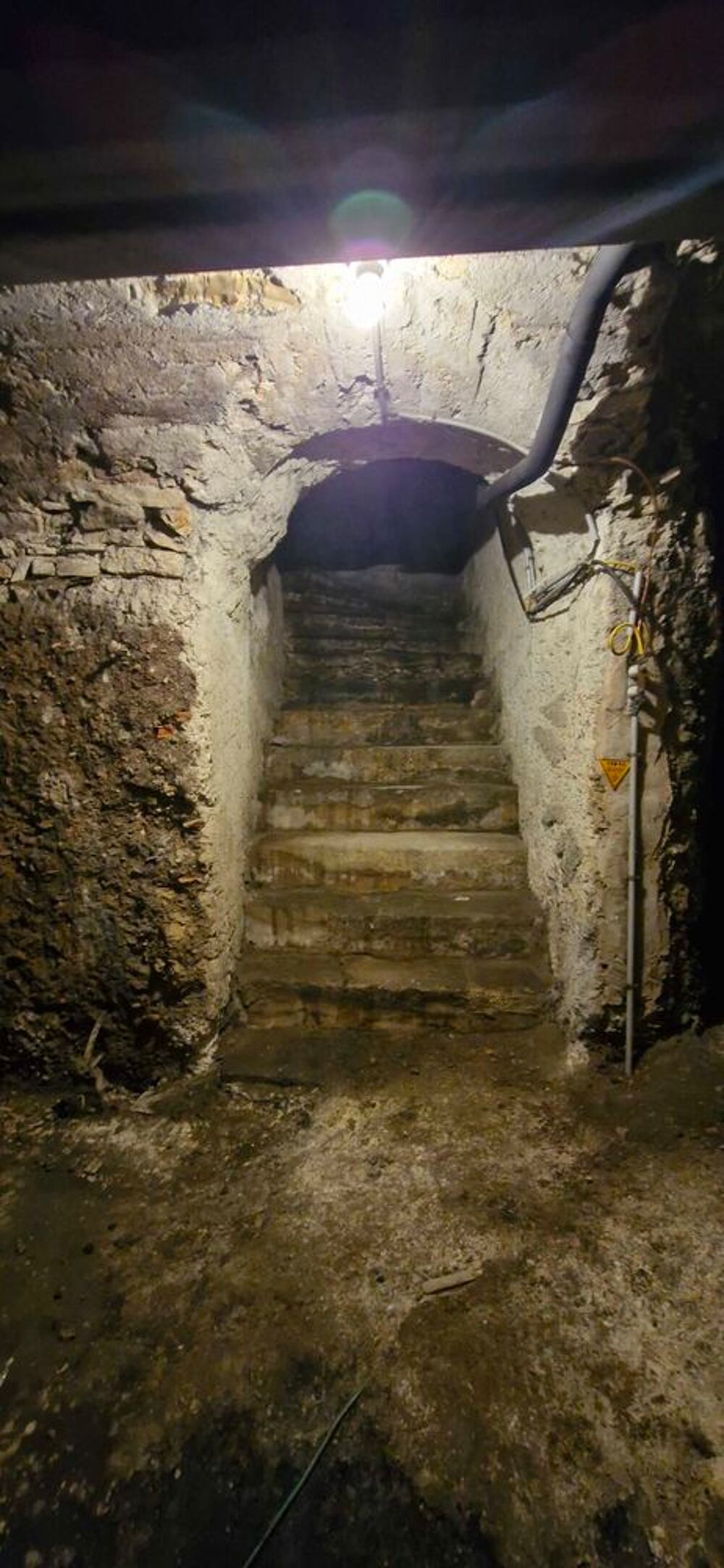 Location Autre cave voûtée 69002 Lyon 2