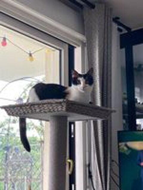   WENDY est reserve 
